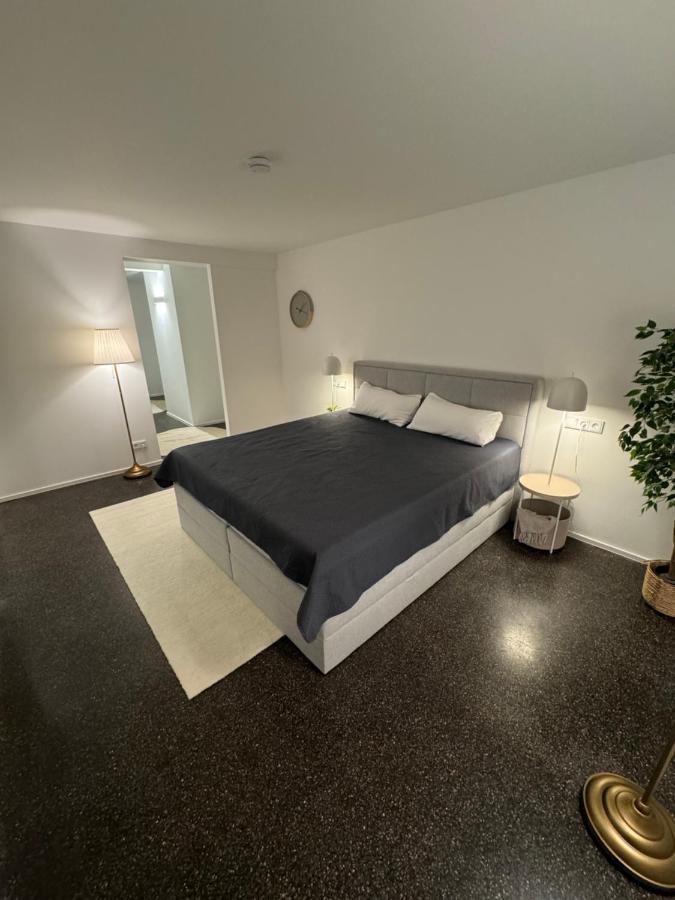 Isaak Appartment Stadtjuwel Waldshut-Tiengen Eksteriør bilde