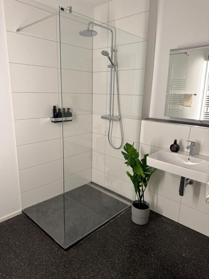 Isaak Appartment Stadtjuwel Waldshut-Tiengen Eksteriør bilde