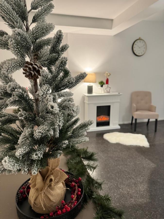 Isaak Appartment Stadtjuwel Waldshut-Tiengen Eksteriør bilde