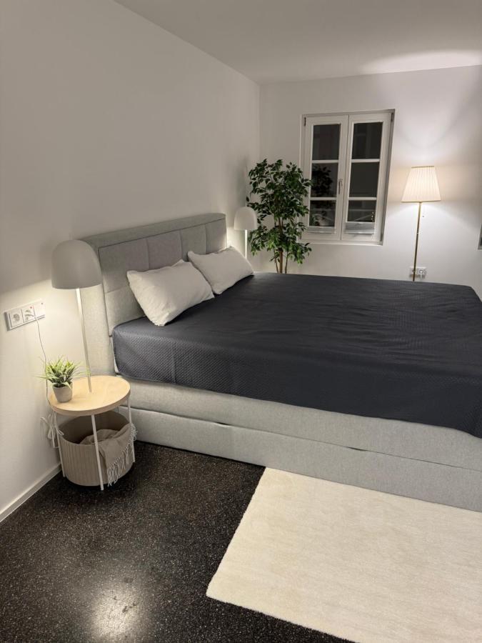 Isaak Appartment Stadtjuwel Waldshut-Tiengen Eksteriør bilde