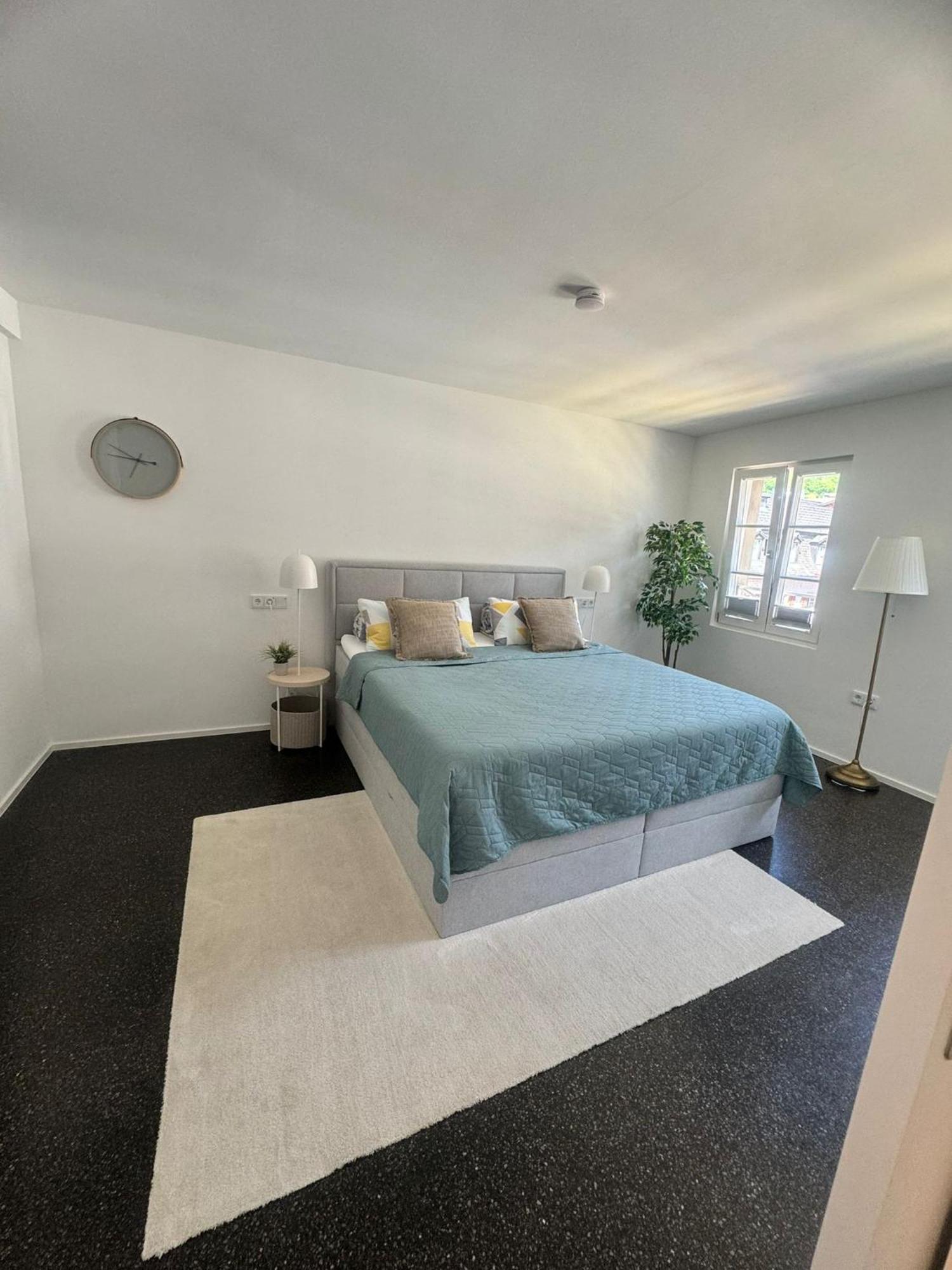 Isaak Appartment Stadtjuwel Waldshut-Tiengen Eksteriør bilde